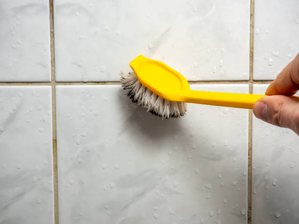 Best Mold Cleaning Services  in Shallotte, NC