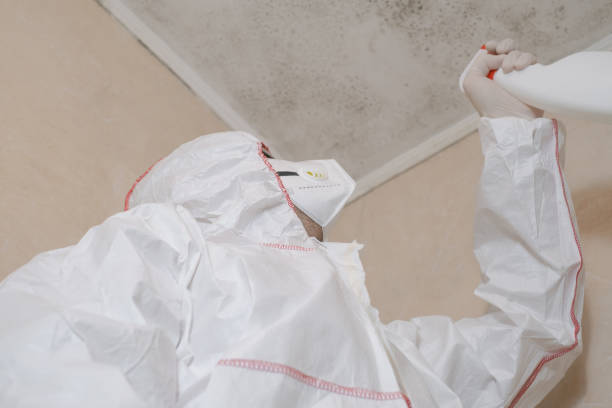Shallotte, NC Mold Removal Company